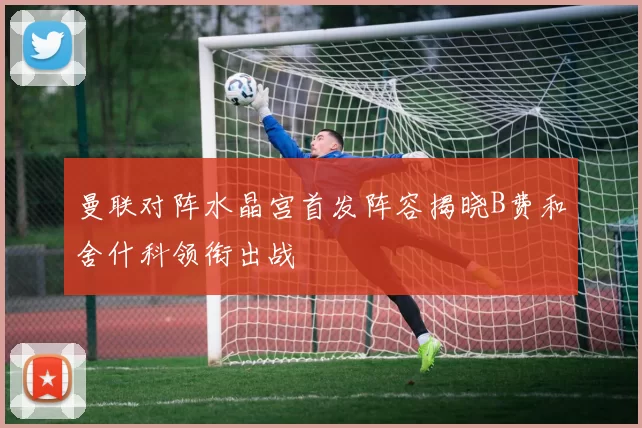 曼联对阵水晶宫首发阵容揭晓B费和舍什科领衔出战