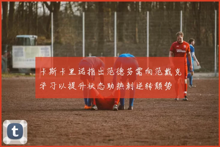 卡斯卡里诺指出范德芬需向范戴克学习以提升状态助热刺逆转颓势