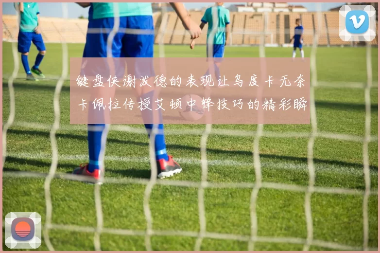 键盘侠谢泼德的表现让乌度卡无奈卡佩拉传授艾顿中锋技巧的精彩瞬间