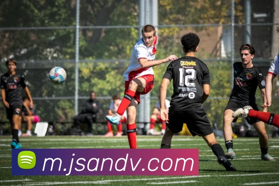 金沙国际娱乐城平台生态图